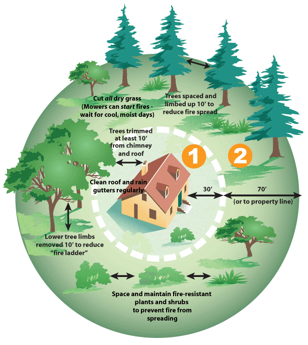 Davis Tree & Yard Care