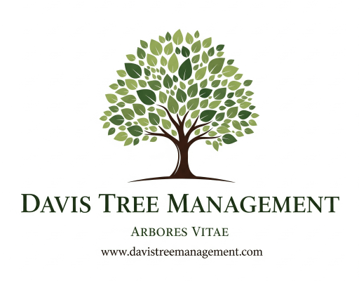 Davis Tree Management